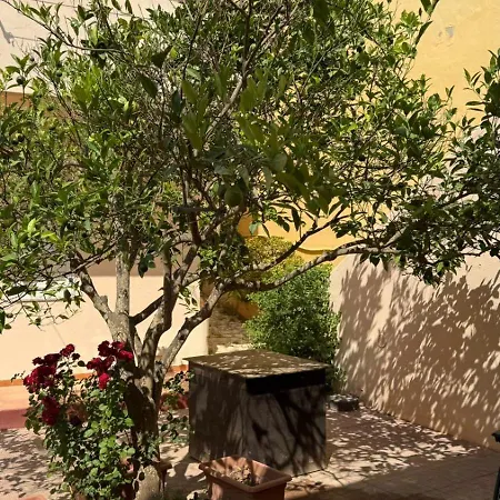 Nel Blu Dipinto Di Blu *